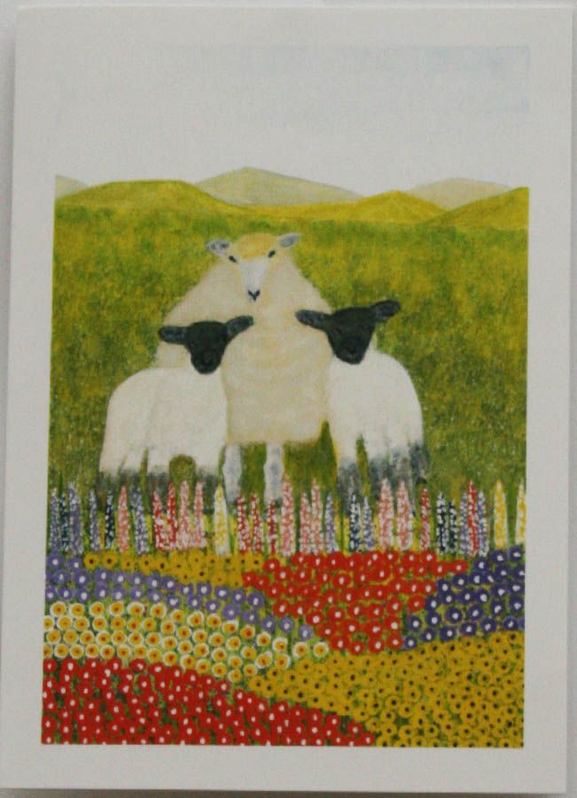 Sheep and Lambs